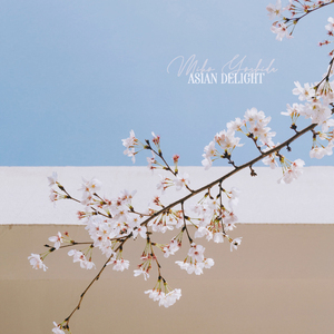 把坤寒定眼视频
