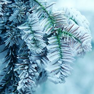 把坤寒定眼视频
